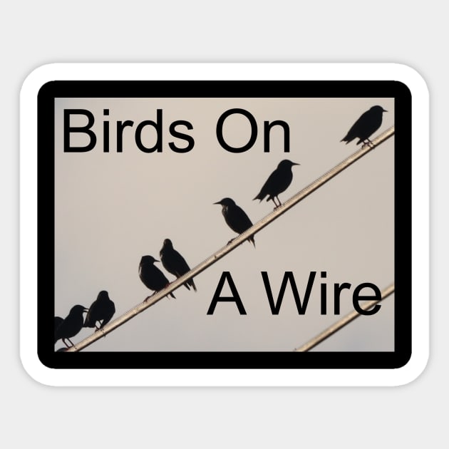 Birds on a Wire Sticker by Judy Geller